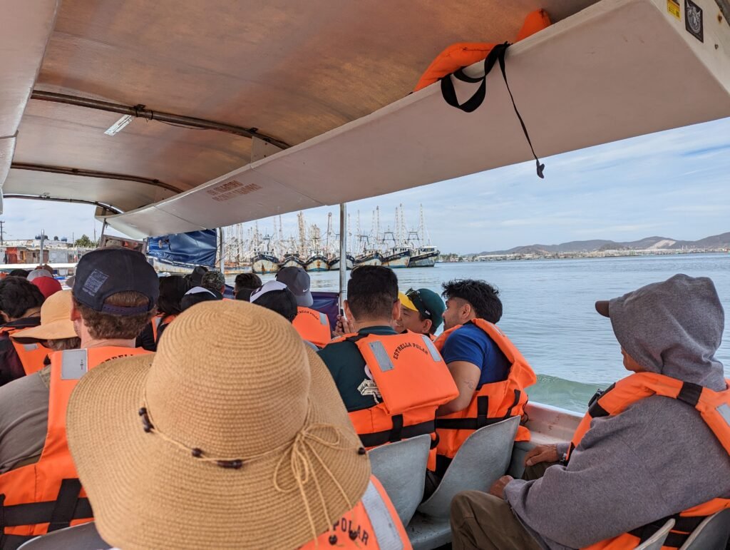 Ferry To Mazatlan
