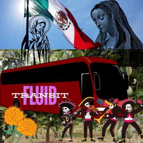 transit mexico